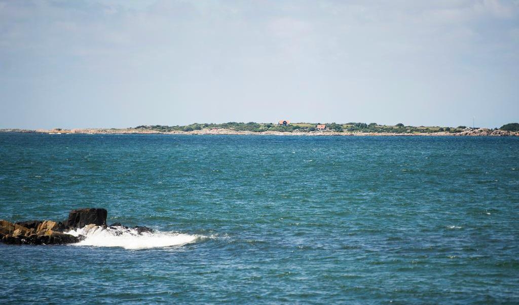 
Två tredjedelar av alla arter i Kattegatt och Skagerrak har enligt en ny studie försvunnit under de senaste 70 åren. Foto: Emil Langvad/TT-arkivbild                                            