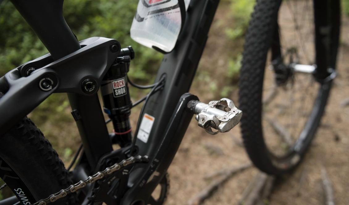 

Stora grupper på mountainbike i skogen kan medföra skador på skogens mark. Foto: Vilhelm Stokstad/TT-arkivbild                                                                                        