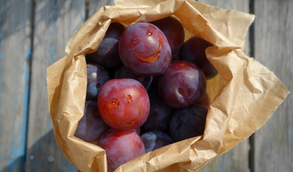 


Goda och glada plommon. Foto: Eva Sagerfors                                                                                                                                    