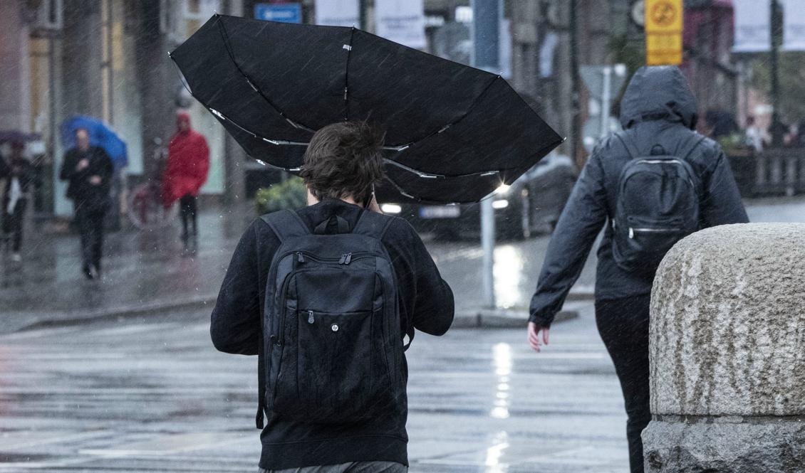 Stormbild från förra veckans oväder. Foto: Johan Nilsson/TT