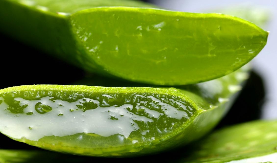 Aloe Vera är ett livsmedel som är bra mot mycket.
