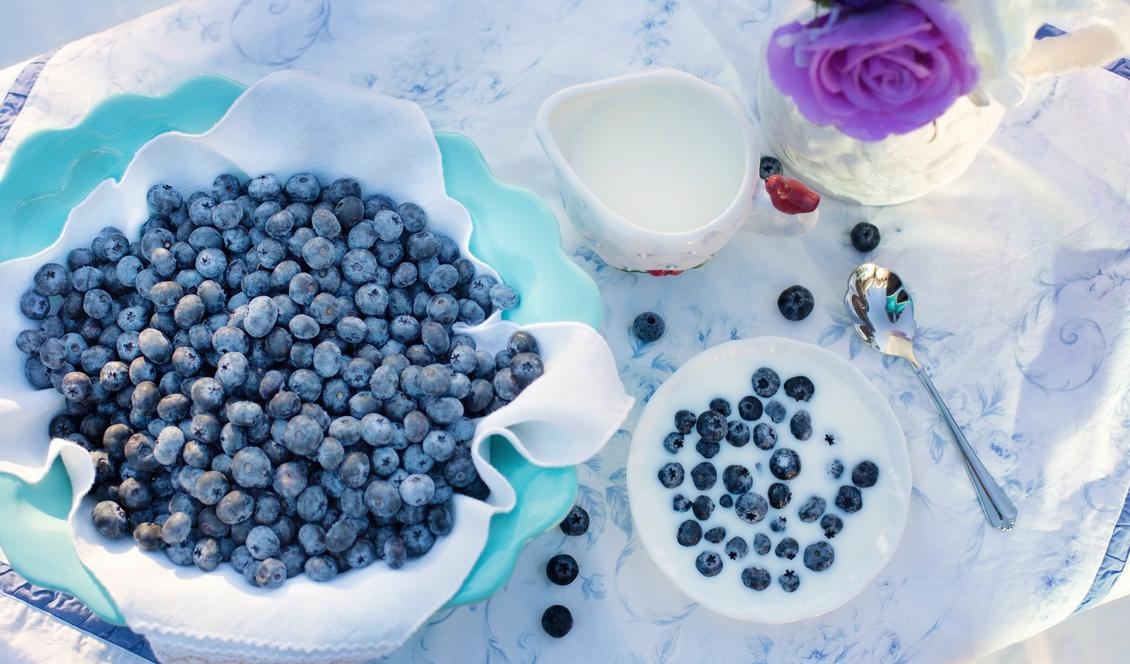 Både vilda och odlade blåbär är mycket nyttiga antioxidanter.