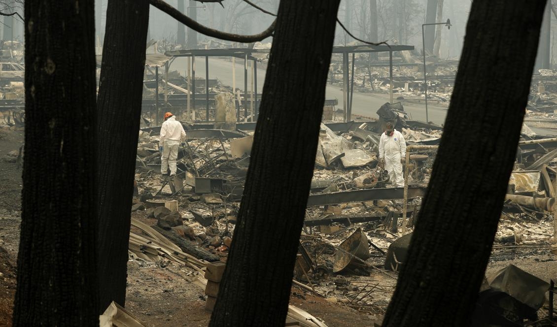 Sökarbetet kring staden Paradise i Kalifornien fortsätter. Foto: John Locher/AP/TT-arkivbild