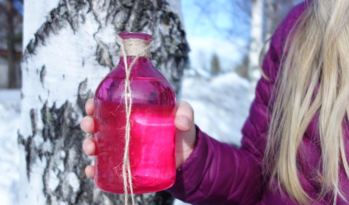 




Mellan tjällossning och lövsprickning kan björken bjuda på en del av sin sav. Foto: Eva Sagerfors/Epoch Times                                                                                                                                                                                                                                                