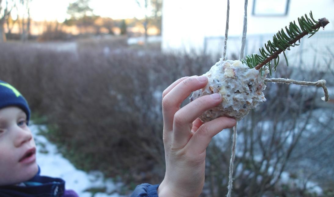




Fågelgodiset är på plats. Välkommen nu var gäst! Foto: Eva Sagerfors                                                                                                                                                                                                                                                