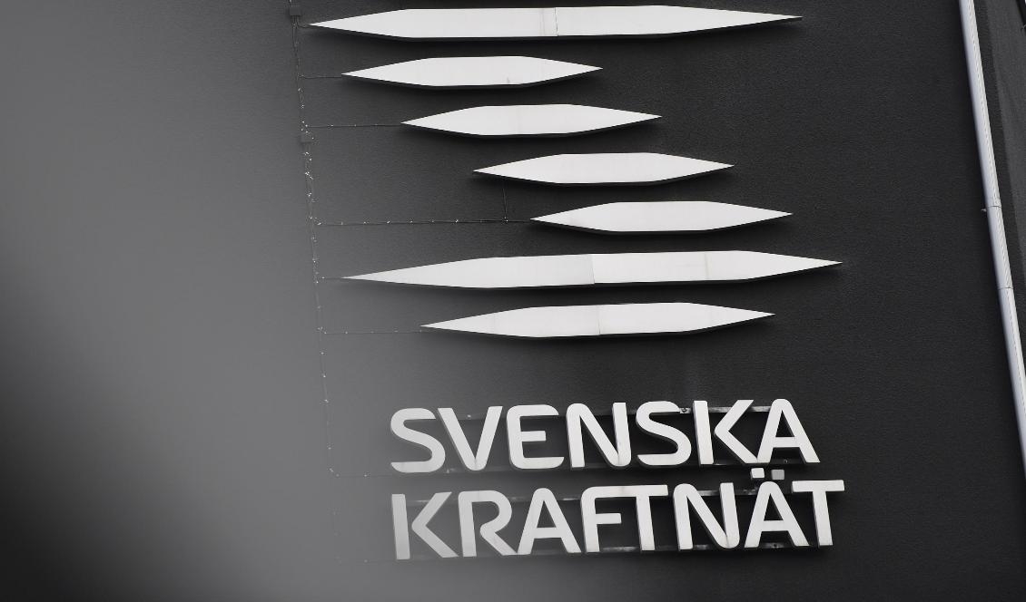 Stina Stjernkvist/TT
Svenska kraftnäts tidigare säkerhetsskyddschef larmade Säkerhetspolisen om brister i säkerhetsarbetet. Foto: Stina Stjernkvist/TT-arkivbild