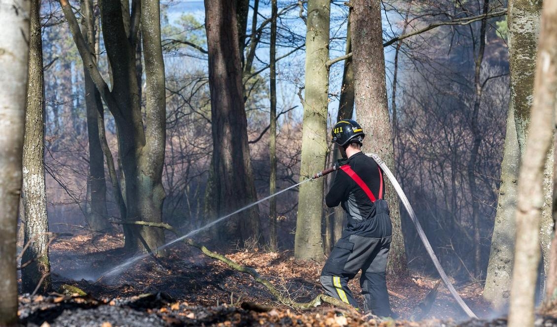 En av de skogsbränder som härjade under måndagen, i detta fall i trakterna av Bökestadsnäs vid sjön Raslången i Kristianstad kommun. Foto: Peo Möller/TT