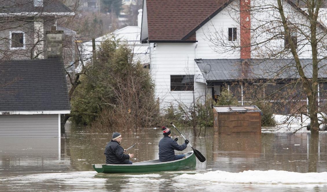 Människor tar sig fram med hjälp av en kanot i Sainte-Marie i Quebec. Foto: Jacques Boissinot/AP/TT