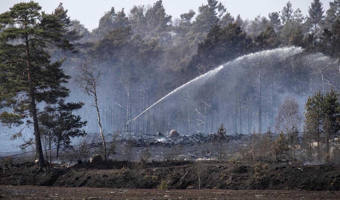 Släckningsarbetet med skogsbranden i skånska Hästveda går framåt. Foto: Johan Nilsson/TT-arkivbild