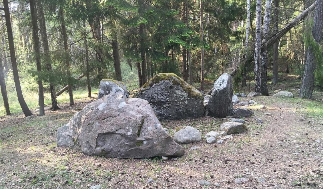 Vid vissa gravar höll stenåldersmänniskorna begravningstraditionerna vid liv väldigt länge. Vid dösen Ansarve på Gotland tror forskarna att de varade i mer än 700 år. Foto: Magdalena Fraser/TT 