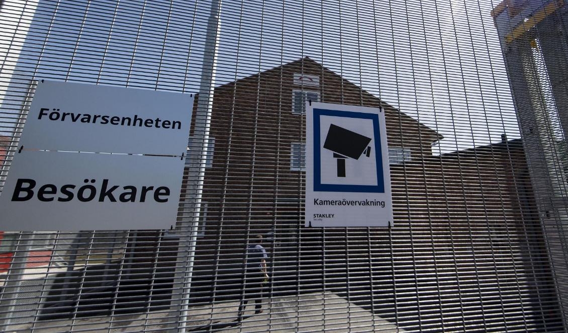 Totalt sitter sex personer med kopplingar till muslimska samfund i Sverige i Migrationsverkets förvar. Foto: Johan Nilsson/TT-arkivbild