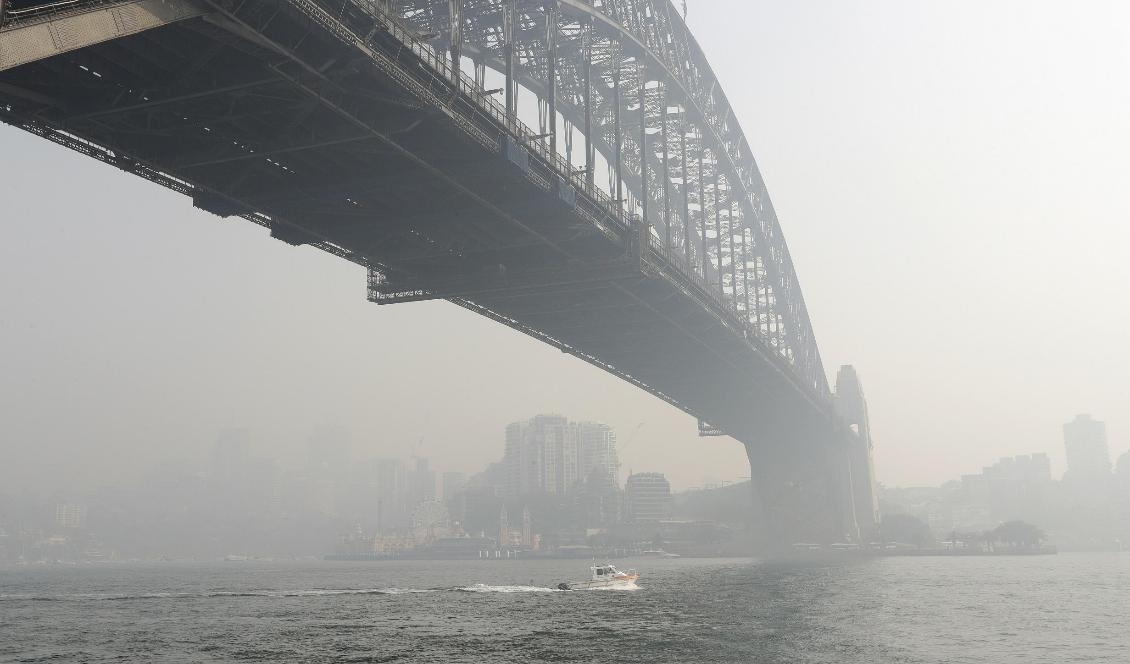 Rökdimma hänger över Sydney den 21 november. Foto: Rick Rycroft/AP/TT