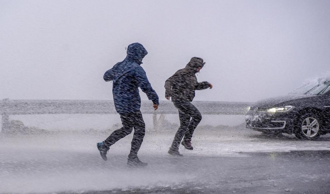 Hårda vindbyar väntas i Norrland. Foto: Kent Even Grundstad/NTB Scanpix/TT-arkivbild