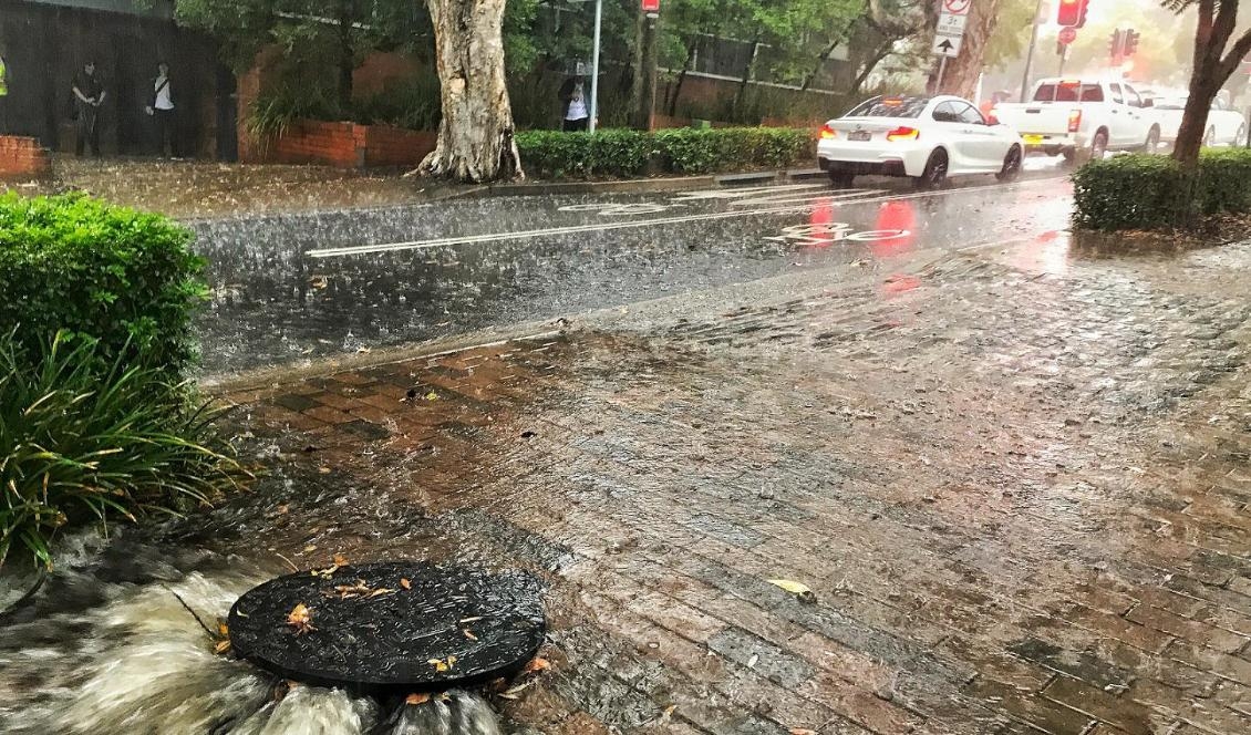 Regn har dragit in över delar av Australien, vilket väntas hjälpa till i släckningsarbetet för de omfattande terrängbränderna. Foto: Gustav Sjöholm/TT