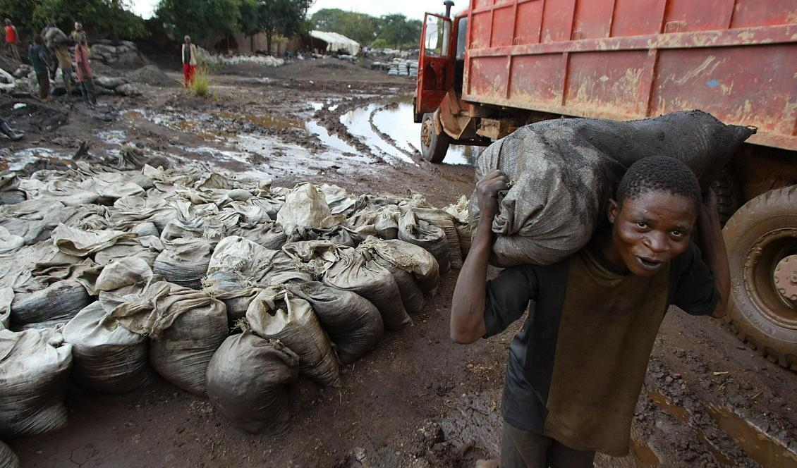 En ung man bär på en säck med blöt kobolt vid en urangruva i Kongo-Kinshasa. Foto: Schalk van Zuydam/AP/TT-arkivbild