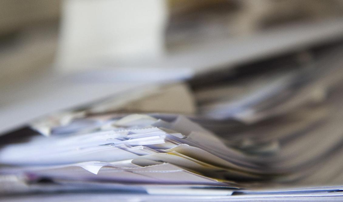 35 000 personer har överklagat långsamma beslut om svenskt medborgarskap. Maja Suslin/TT-arkivbild