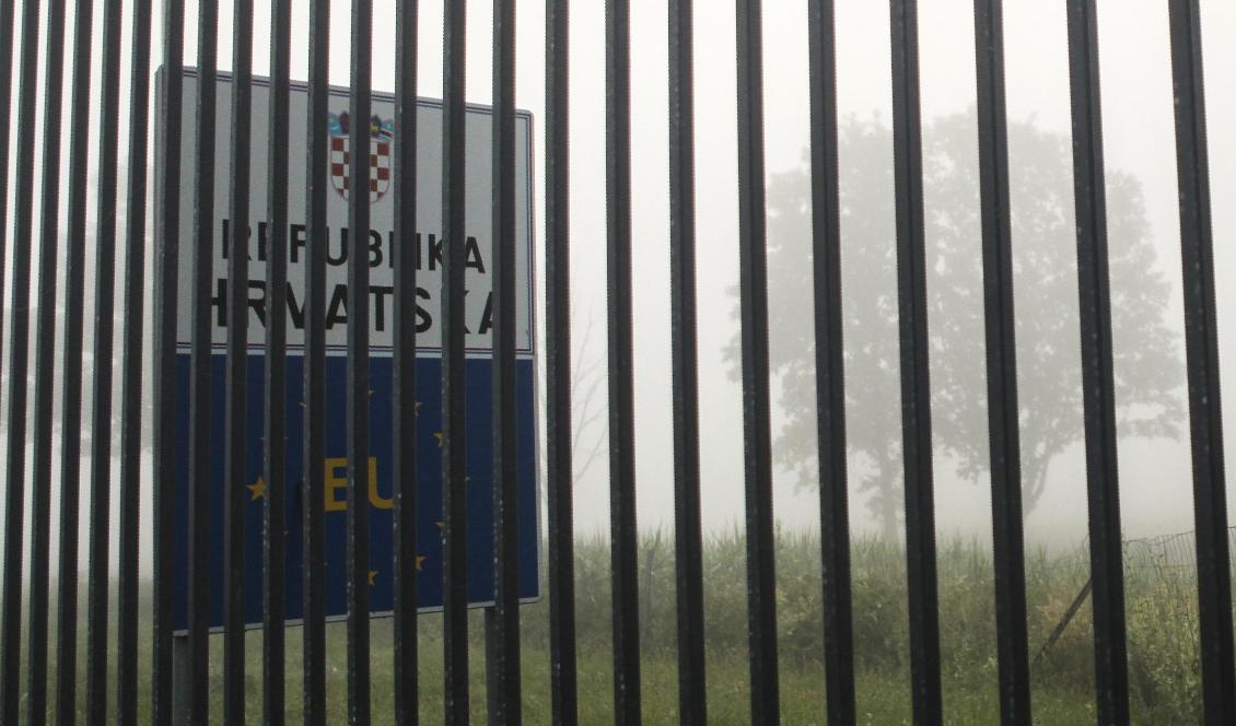 Migranter i Bosnien vill kunna passera gränsen till Kroatien för att söka asyl i EU. Foto: Almir Alic/AP/TT-arkivbild