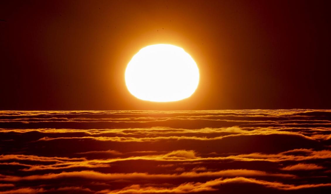 Tidigt på måndag morgon skjuts rymdfarkosten Solar Orbiter, som ska undersöka solen, upp. Bild på en soluppgång i Tyskland. Foto: Michael Probst/AP/TT