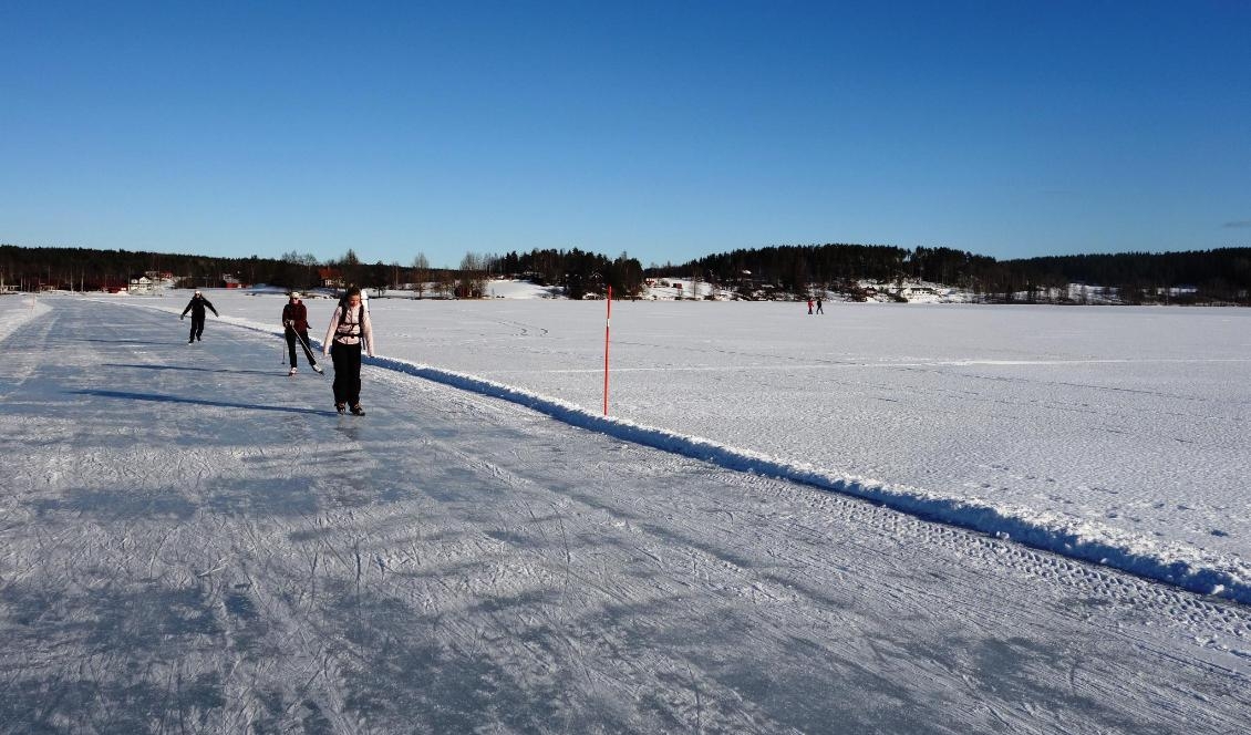 


Foto: Eva Sagerfors/Epoch Times                                                                                                                                                