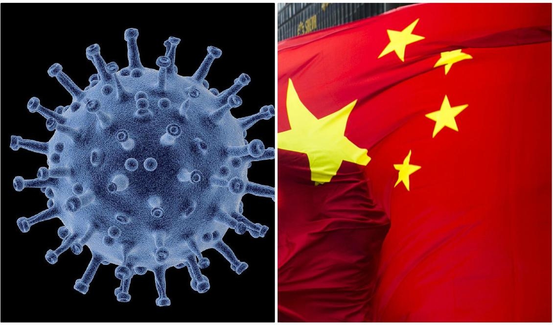 
Folkrättsexperten Ove Bring och kulturjournalisten Hans Wolf anser att WHO borde betrakta Kina-regimens långa mörkläggning i Wuhan som ett brott mot folkrätten. Foto: Pixabay/Epoch Times                                                