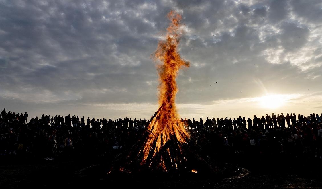 I år verkar många storstadsbor ersatt majbrasan med lantstället. Foto: Johan Nilsson/TT-arkivbild