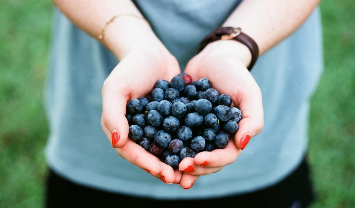 
Foto: Andrew Welsh/Unsplash                                            