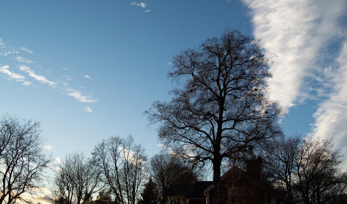 



Foto: Eva Sagerfors/Epoch Times                                                                                                                                                                                
