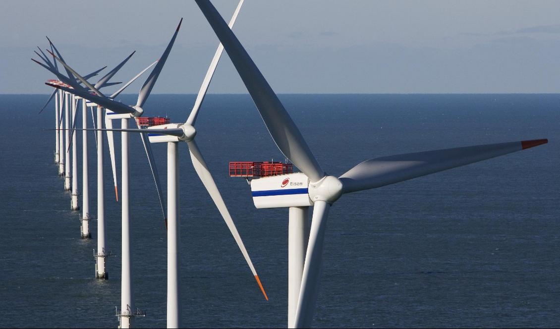 
Vindturbiner i Danmark. Foto: Jorgen True/AFP via Getty Images                                            