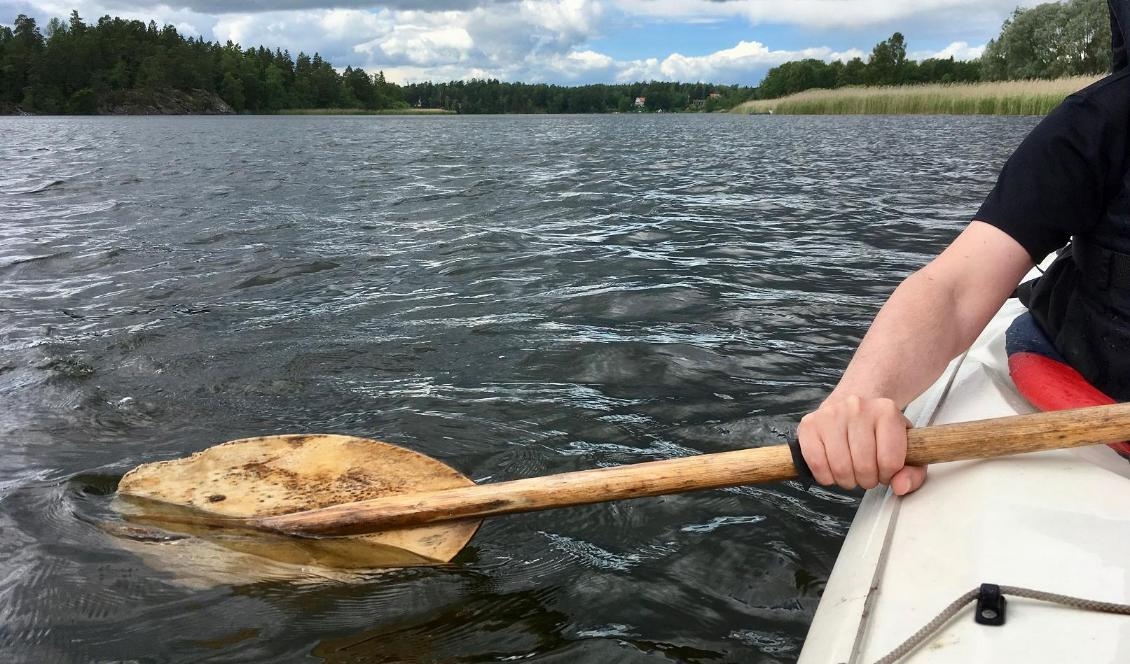Kajak i Sverige. Under pandemin har många idrottsföreningar drabbats hårt och förlorat intäkter. Foto: Susanne W. Lamm