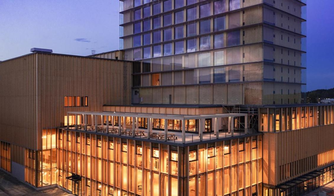 För kulturhusets stomme har cirka 10 000 kubikmeter KL-trä och 2 200 kubikmeter limträ använts. Materialet är producerat söder om Skellefteå. Foto: Sven Burman
