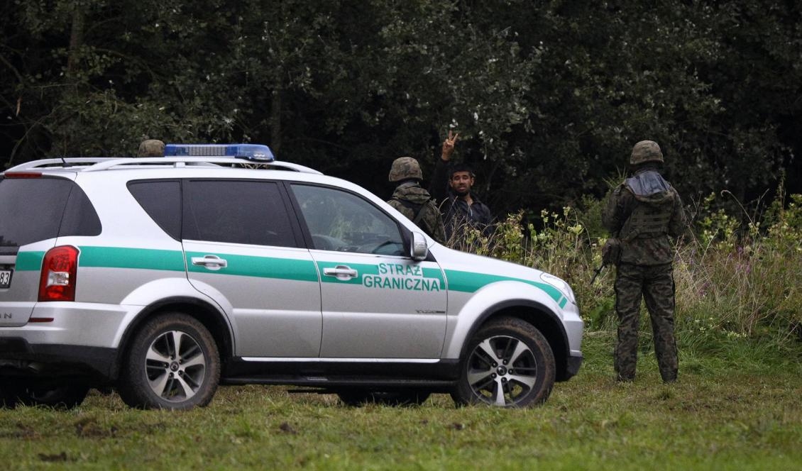 På bilden syns en migrant i bakgrunden i Usnarz Gorney nära Bialystok i östra Polen vid gränsen mot Belarus den 26 augusti 2021. Foto: Jaap Arriens/AFP via Getty Images
