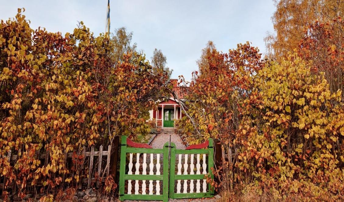 

”Då vi är fattigpensionärer utan bil, verksamma i ett torp beläget mellan skog och fält, har texterna ibland handlat om lantliga saker.” Foto: Shutterctock                                                                                        