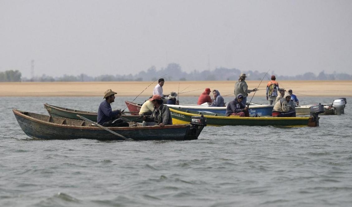 
Paraguayanska fiskare på den stora Paranáfloden. Vattennivån i floden är historiskt låg vilket försvårar transporter med stora fraktfartyg. Foto: Juan Mabromata/AFP via Getty Images                                            