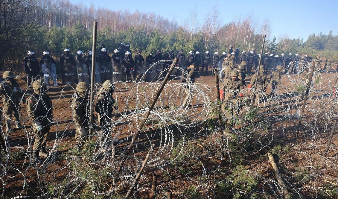 Fotot är taget den 9 november 2021 vid Polens gräns mot Belarus. Foto: Leonid Schcheglov/Belta/AFP via Getty Images