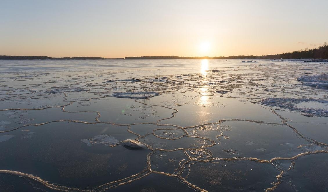 De kommande åren ska Havs- och vattenmyndigheten med hjälp av ett nytt åtgärdsprogram minska miljöbelastningar på havsmiljön. Foto: Katja Kuitunen