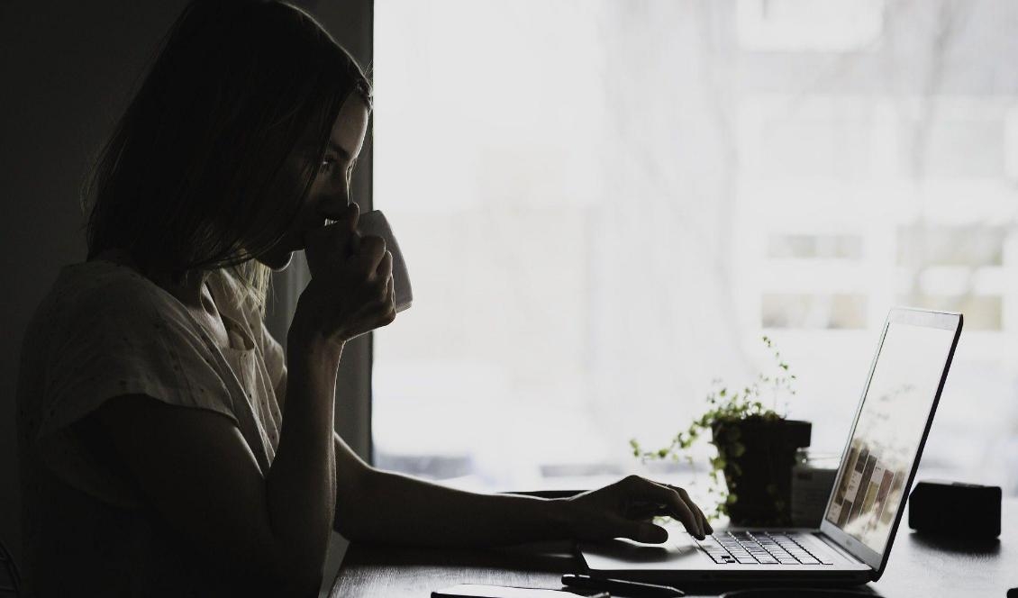 

Svenskarna beställer mindre varor på internet. Foto: Pixabay                                                                                        