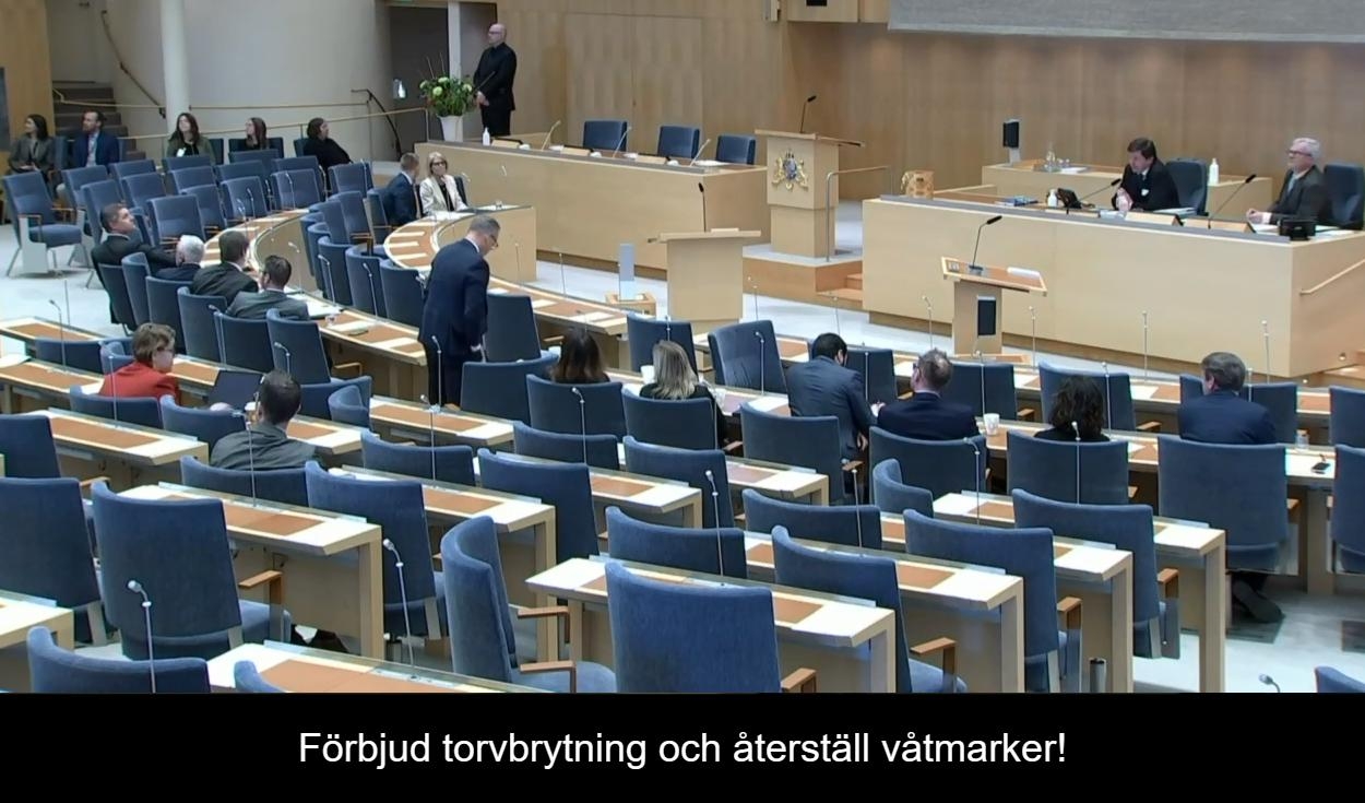 En aktivist yttrade sin mening om våtmarker, under riksdagsdebatten mellan Elisabeth Svantesson (M) och Mikael Damberg (S). Foto:  Skärmdump/Riksdagen