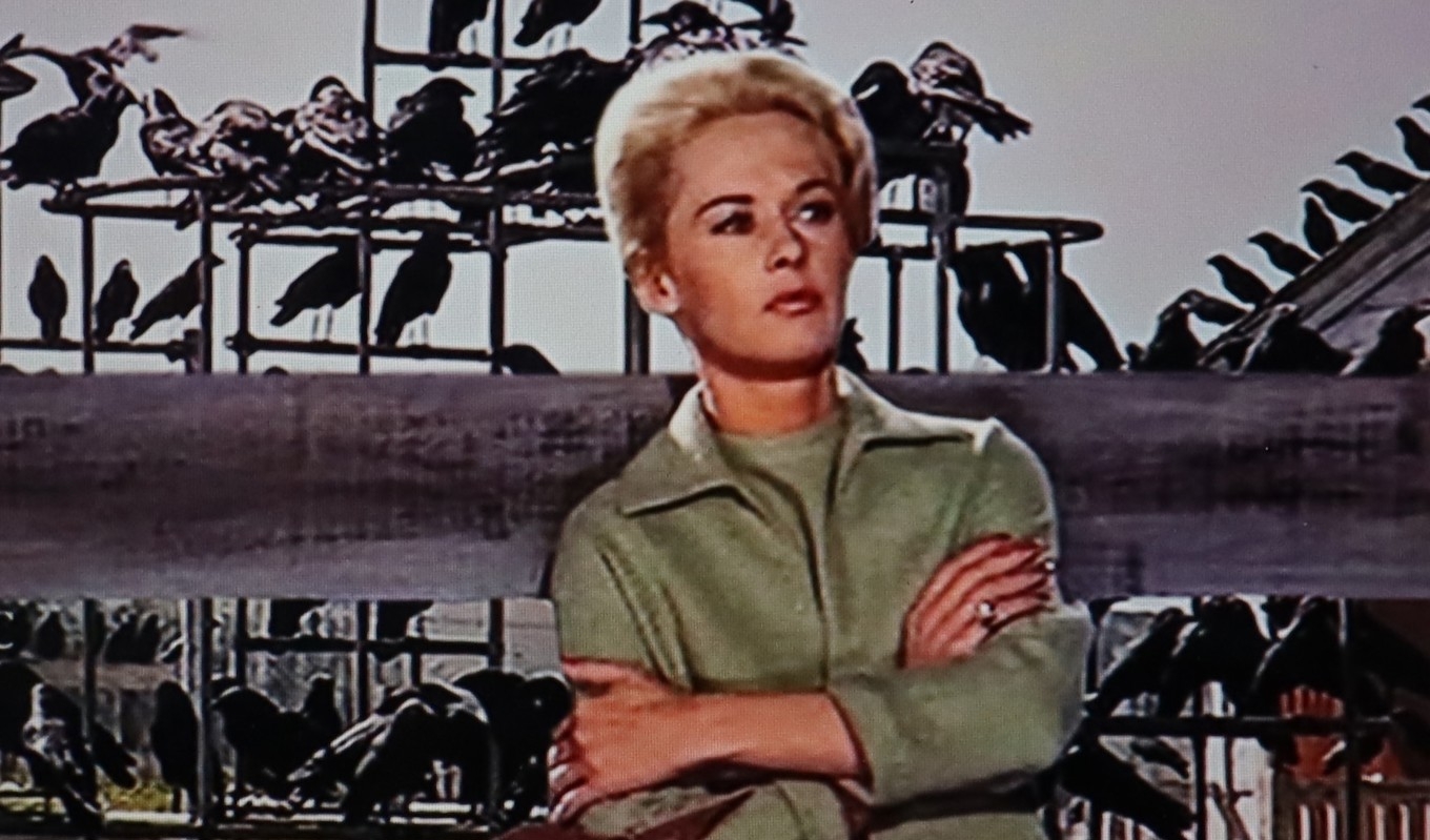 Melanie Daniels (Tippi Hedren) har ännu inte lagt märke till de olycksbådande korpar som samlas på lekplatsen bakom henne.