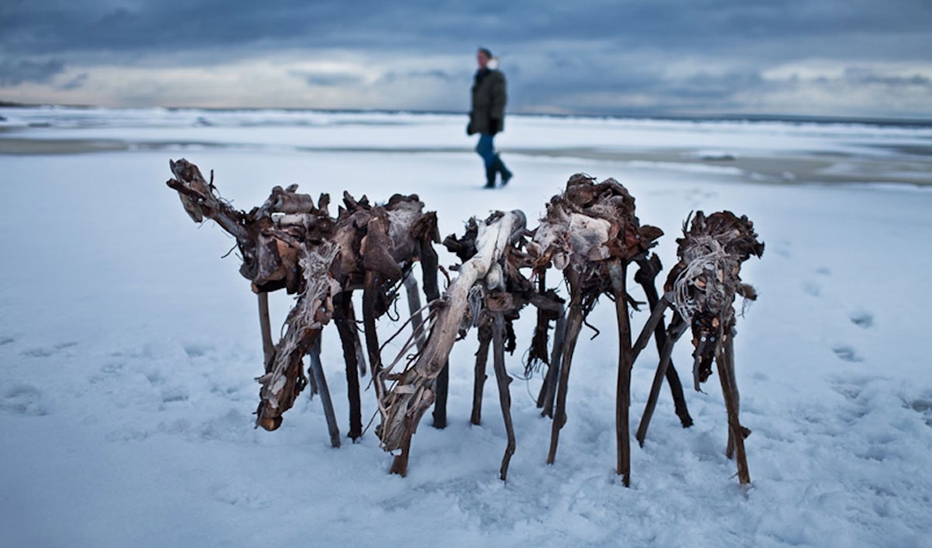 André Prah har ett stort historiskt intresse, bland annat för andra världskriget, och fångades av berättelsen om Ladogas ishästar. Här ses konstnären själv på plats vid Ladoga med sina ishästar. Foto: Joakim Lundgren