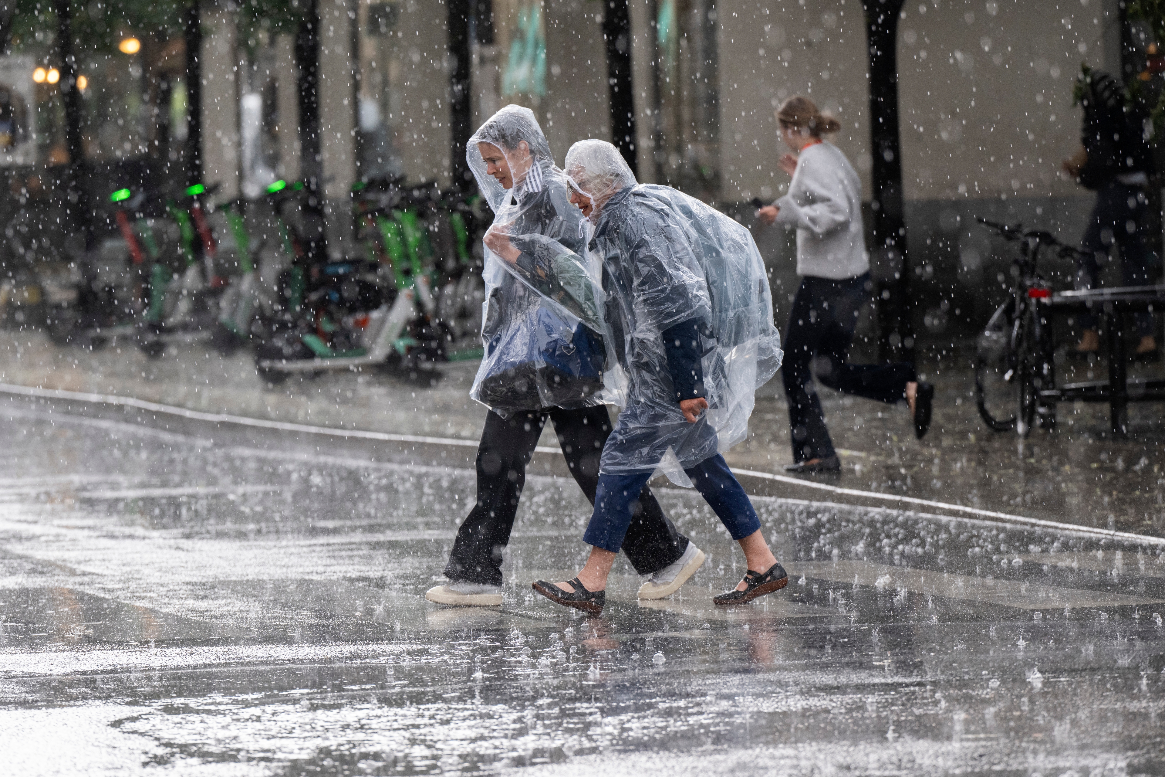 I delar av Norrbotten och Västerbotten varnas för skyfall. Arkivbild. Foto: Henrik Montgomery/TT