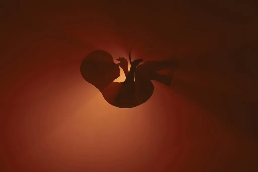 En politisk samtid kan få människan att glömma människan. Foto: Shutterstock
