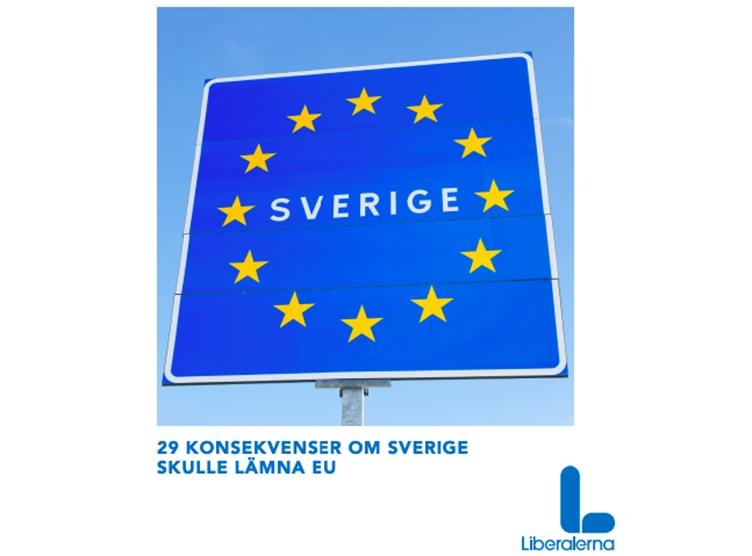 Ett dokument skrivet av Liberalerna. Foto: Liberalerna
