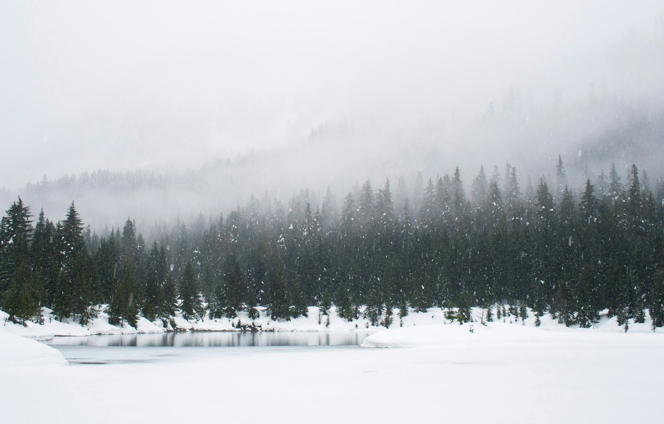 Snö så långt ögat når. Foto: Adam Chang