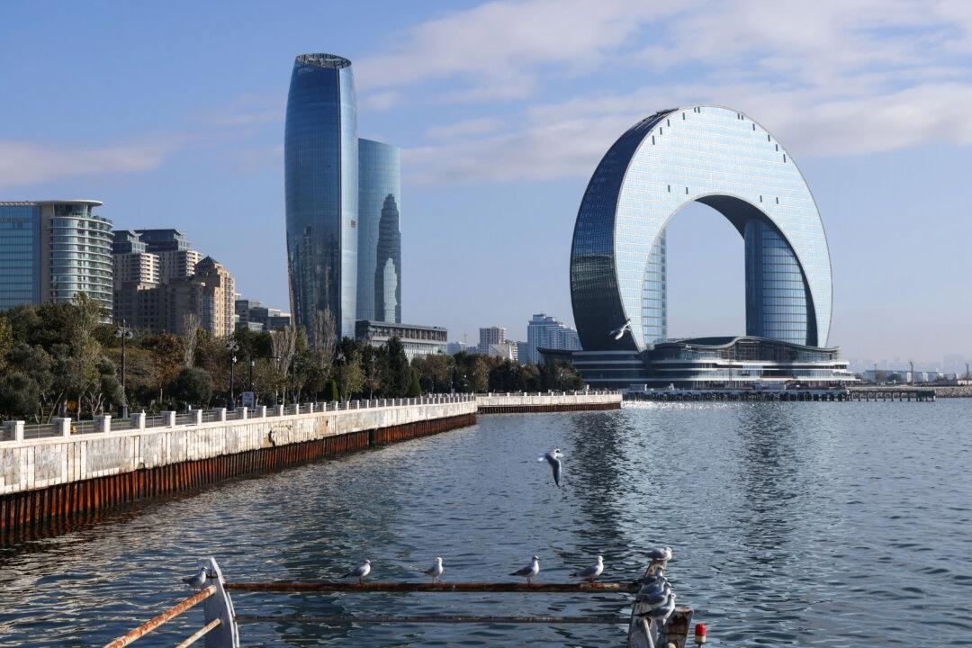 Fiskmåsar på stranden av Kaspiska havet i Baku, Azerbajdzjan, den 10 november 2024. Sean Gallup/Getty Images