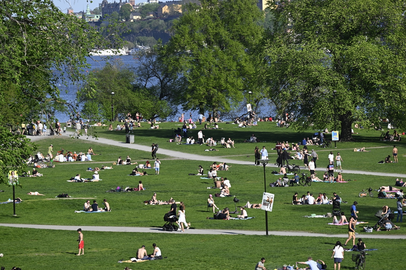 Soligt och varmt blir det på många håll kommande helg. Arkivbild. Foto: Fredrik Sandberg/TT