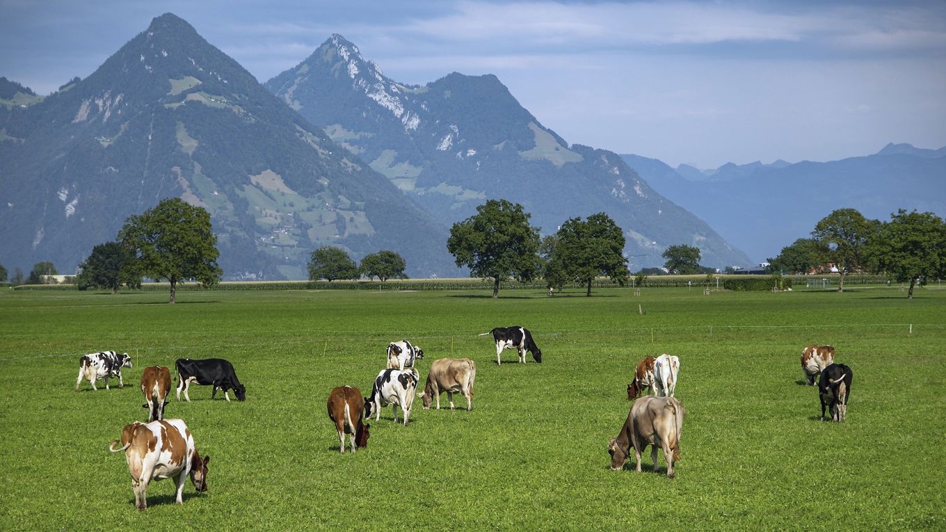 Stödet till jordbruket blir en het fråga i den nya långtidsbudgeten i EU. Oron för att det skärs ner när det slås ihop med andra delar är stor. Foto: Shutterstock