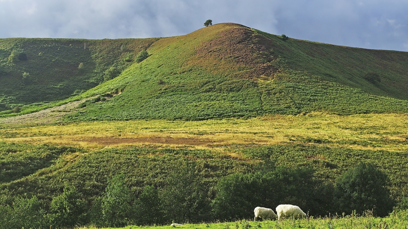 Hedarna i Yorkshire, som litterärt förevigades av systrarna Brontë. Foto: Dirk Ingo Franke