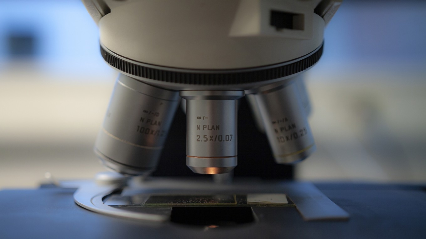 Med hjälp av AI kan man upptäcka cancer, enligt en studie. Foto: OsloMetX/Pixabay