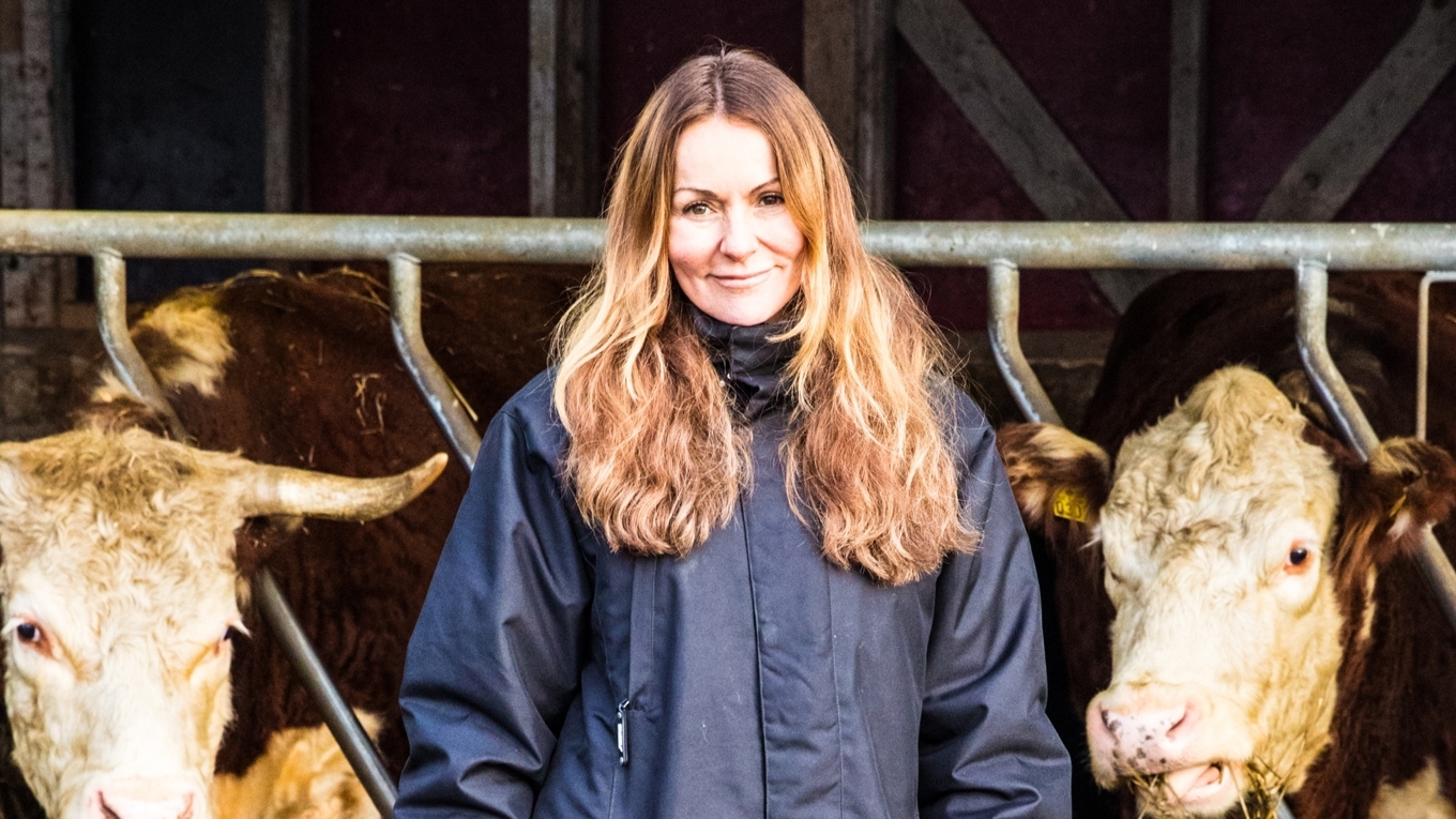 Ytterst handlar köttbristen om att det finns färre kalvar i vårt land, enligt Isabel Moretti, vd för Svensk kött. Foto: Madeleine Landley