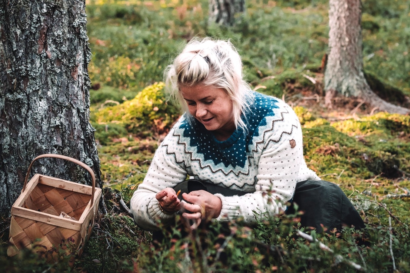 Högsäsong i svampskogen ger förråd för hela året. Foto: Rania Rönntoft